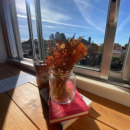 Quinta Jose&maria Casa De Ferias