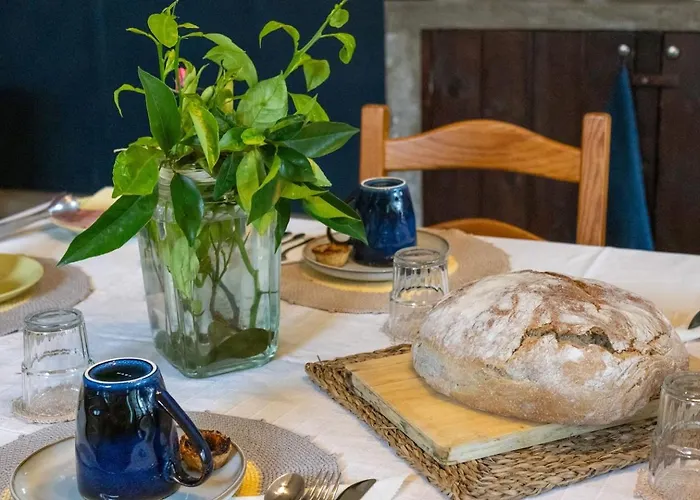 Quinta Jose&maria Casa De Ferias Ferreira do Zêzere